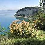 Photo taken by Shree L