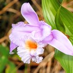 Photo taken by Brett F