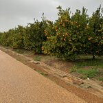 Photo taken by Ingenie D