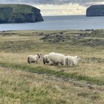 Photo taken by Janice R