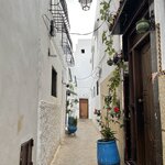 Photo taken by Dorothy Paz L