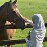 Photo taken by Shamma L