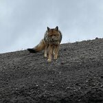 Photo taken by Lindsey F