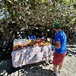 Photo taken by Tamaryn B