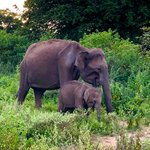 Photo taken by Garth R