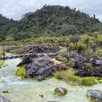 Photo taken by Carine D