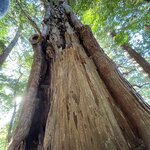 Photo taken by Daniel D