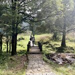 Photo taken by Vanessa V