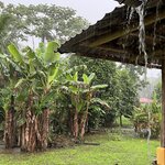 Photo taken by Breann B