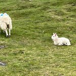 Photo taken by Maria S