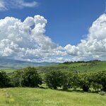 Photo taken by Luis D