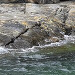 Photo taken by Iris W