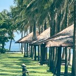 Photo taken by Kelly D