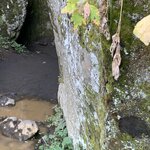 Photo taken by shelley w