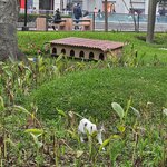 Photo taken by Mariah M