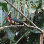 Photo taken by Pat K