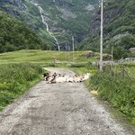 Photo taken by Paul H