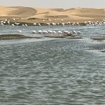 Photo taken by Nigel R