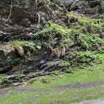 Photo taken by Kerrick M