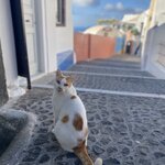 Photo taken by Desi O