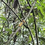 Photo taken by Chakrapani S