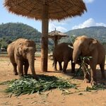 Photo taken by Leslie S