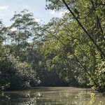 Photo taken by SANTHI S