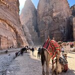 Photo taken by Joaquim S