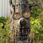 Photo taken by Sue F