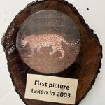 Photo taken by Cynthia C