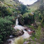 Stunning Beauty | Photo taken by Matt M