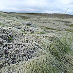 Photo taken by Eneken M