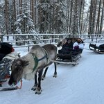 Photo taken by Jennifer D