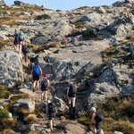 Photo taken by Sarah C