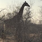 Photo taken by Janie W