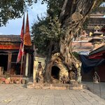 Photo taken by Carina S