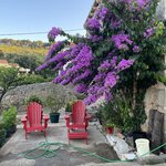 Photo taken by Shari B