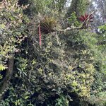 Photo taken by Carine D