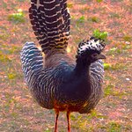 Photo taken by Dennis H