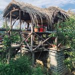 Photo taken by JoAnne C