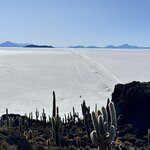 Photo taken by Mai S