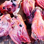 Photo taken by Jason P