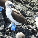 Photo taken by Patricia D