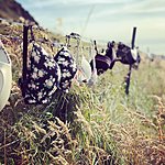 Photo taken by Lana M