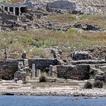 Photo taken by PADMABEN P