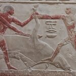 Photo taken by Rozi B