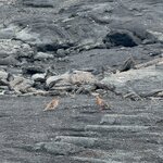 Photo taken by Gary W