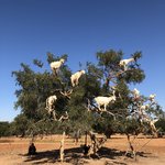 Photo taken by Anda P