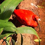 Photo taken by Dennis H