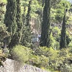 Photo taken by Anita N